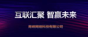 “互聯(lián)聚匯，智贏未來(lái)” 2019焦作青峰全網(wǎng)合作峰會(huì)***成功！